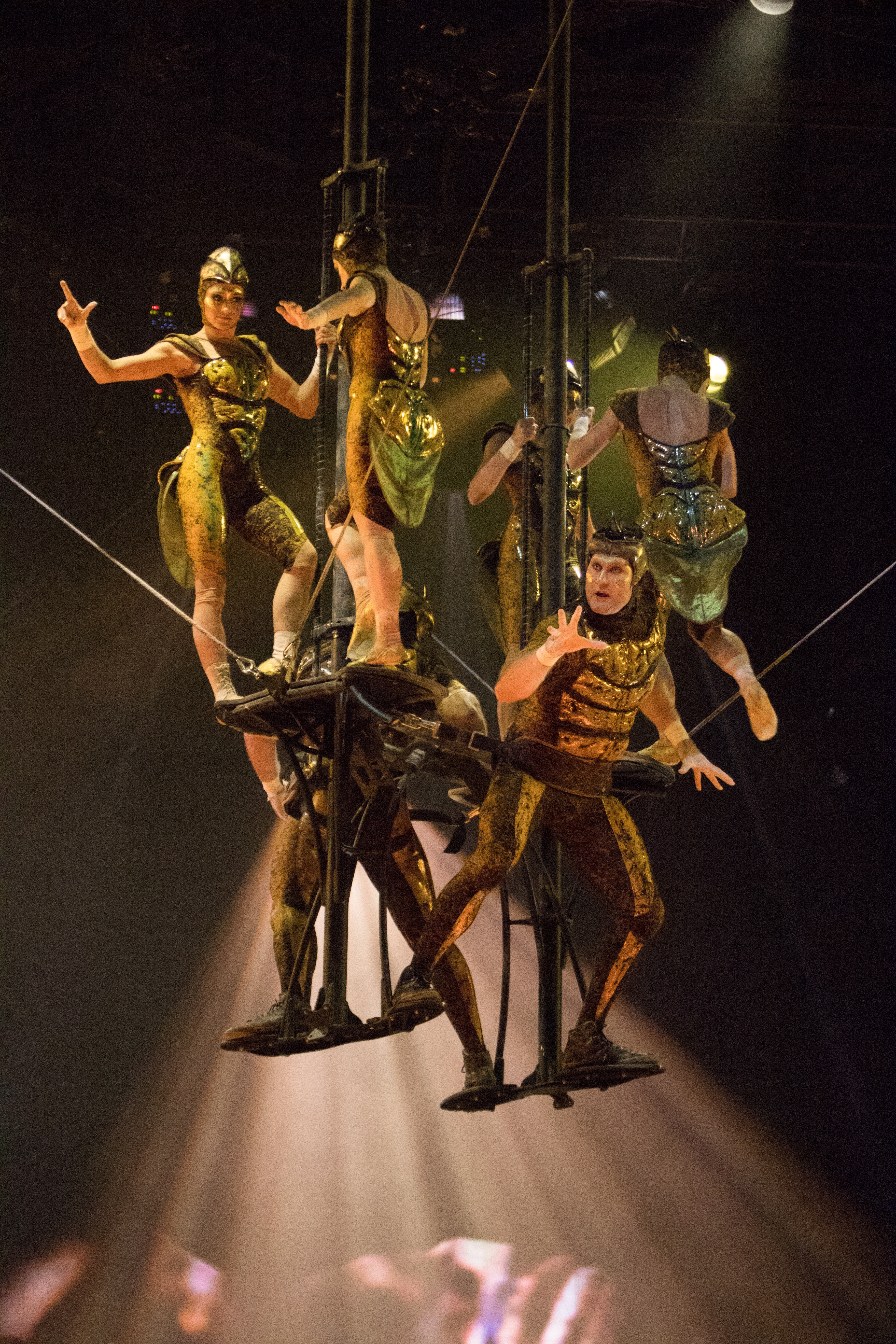 Cirque du Soleil's new show “OVO” is coming to Miami and Sunrise in July –  Outersparkle